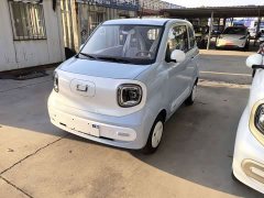FAW Besturn Xiaoma 222km Auspicious Edition - ფოტო 1