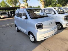 FAW Besturn Xiaoma 222km Auspicious Edition - ფოტო 3