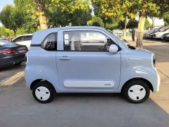 FAW Besturn Xiaoma 222km Auspicious Edition - ფოტო 4