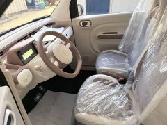 FAW Besturn Xiaoma 222km Auspicious Edition - ფოტო 8