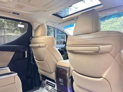 Toyota Alphard Hybrid 2.5L Luxury - ფოტო 13