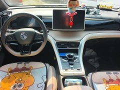 BYD Song Pro New Energy 2023 Champion Edition DM-i 71KM Exceed - ფოტო 12