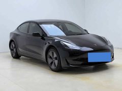 Tesla Model 3 Rear-Wheel Drive - ფოტო 2
