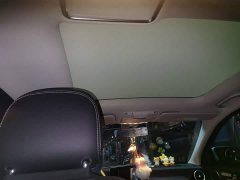 Mercedes-Benz C-Class C 260 L AMG Line - ფოტო 14