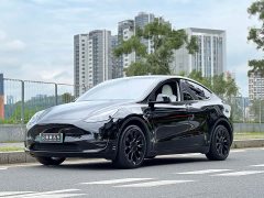 Tesla Model Y 2023 Long Range All-Wheel Drive - ფოტო 1