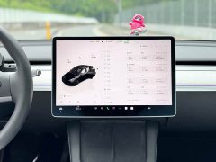 Tesla Model Y 2023 Long Range All-Wheel Drive - ფოტო 13