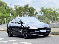 Tesla Model Y 2023 Long Range All-Wheel Drive - ფოტო 2