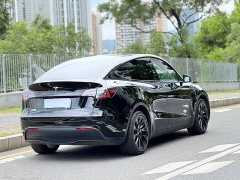Tesla Model Y 2023 Long Range All-Wheel Drive - ფოტო 3
