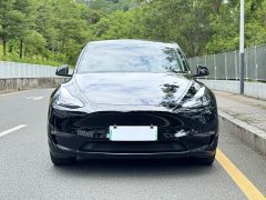 Tesla Model Y 2023 Long Range All-Wheel Drive - ფოტო 5