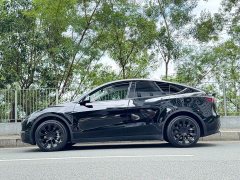 Tesla Model Y 2023 Long Range All-Wheel Drive - ფოტო 8