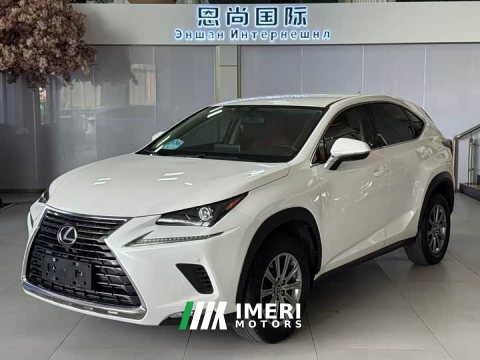 2021 Lexus NX 2020 200 FWD Sharp Edition National VI - ავტომობილი ჩინეთიდან