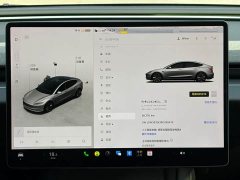 Tesla Model 3 2023 Long Range All-Wheel Drive - ფოტო 9