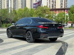 BMW 5 Series 530Li Luxury M Sport Package - ფოტო 8