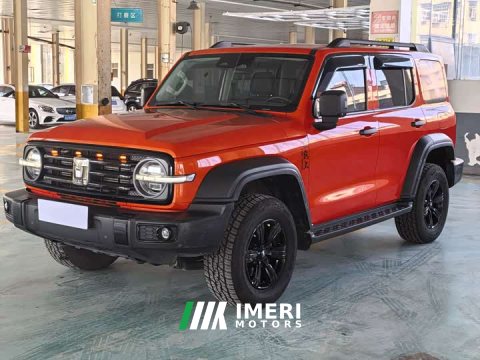 2021 Tank 300 Off-Road Edition 2.0T Conqueror - ავტომობილი ჩინეთიდან