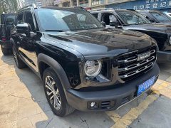 Great Wall Dachshund 1.5T DCT Two-Wheel Drive Husky Edition - ფოტო 3