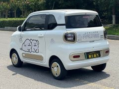 FAW Besturn Xiaoma 222km Linglong Edition - ფოტო 10