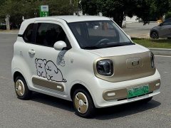 FAW Besturn Xiaoma 222km Linglong Edition - ფოტო 3