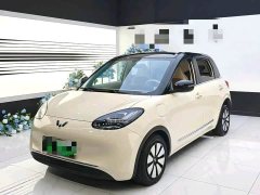 Wuling Binguo 410km Lingxi Premium Edition - ფოტო 1