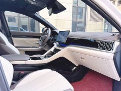 BYD Song Plus New Energy 2025 DM-i 112KM Prestige - ფოტო 18