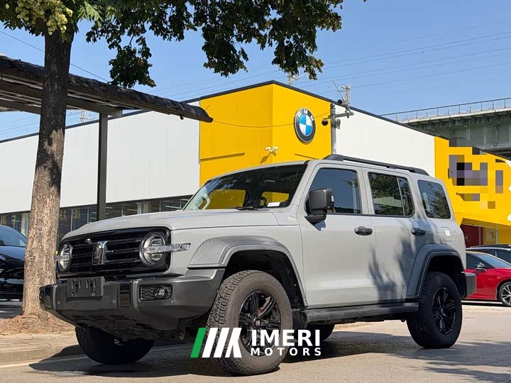 Tank 300 Off-Road Edition 2.0T Challenger - ავტომობილი ჩინეთიდან