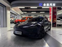 Tesla Model 3 Standard Range RWD Upgrade - ფოტო 1