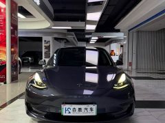 Tesla Model 3 Standard Range RWD Upgrade - ფოტო 2