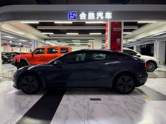 Tesla Model 3 Standard Range RWD Upgrade - ფოტო 5