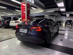 Tesla Model 3 Standard Range RWD Upgrade - ფოტო 7