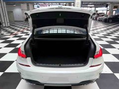 BMW 3 Series 320Li M Sport Package - ფოტო 16