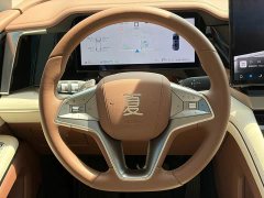 Denza Summer DM-i 1.5T 180km Exceed - ფოტო 17