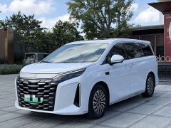 Denza Summer DM-i 1.5T 180km Exceed - ფოტო 2