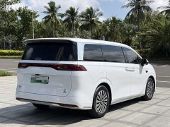 Denza Summer DM-i 1.5T 180km Exceed - ფოტო 8