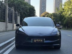 Tesla Model 3 2025 Rear-Wheel Drive - ფოტო 2