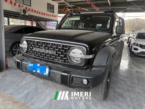 2021 Tank 300 Off-Road Edition 2.0T Conqueror - ავტომობილი ჩინეთიდან