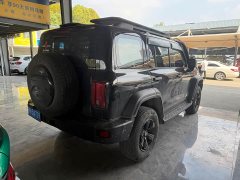 Tank 300 Off-Road Edition 2.0T Conqueror - ფოტო 11