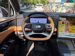 Geely Galaxy L7 2023 1.5T 115km Starship - ფოტო 14