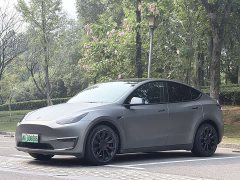 Tesla Model Y Long Range All-Wheel Drive - ფოტო 1