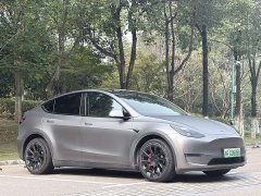 Tesla Model Y Long Range All-Wheel Drive - ფოტო 2