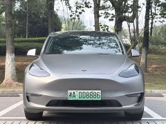 Tesla Model Y Long Range All-Wheel Drive - ფოტო 3