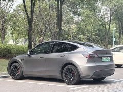 Tesla Model Y Long Range All-Wheel Drive - ფოტო 6