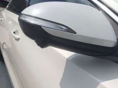 Changan Eado Blue Whale 1.5T 500Bar Luxury - ფოტო 14