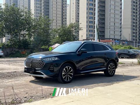 2022 Great Wall WEY Mocha 2.0T Two-Wheel Drive Premium Edition - автомобиль из Китая