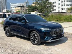 Great Wall WEY Mocha 2021 2.0T Two-Wheel Drive Premium Edition - ფოტო 3