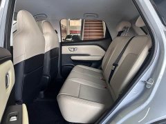 Wuling Binguo PLUS 2024 401km 5-Seater - ფოტო 4