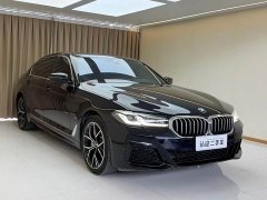 BMW 5 Series 530Li Luxury M Sport Package - ფოტო 10