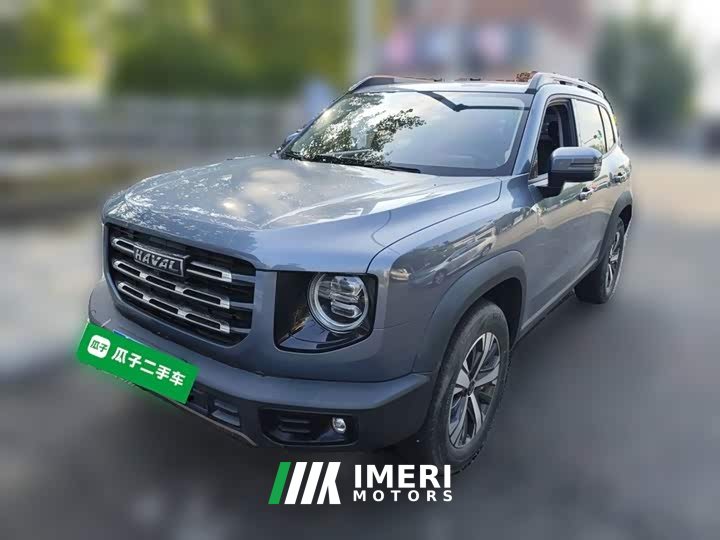 Great Wall Dachshund 1.5T DCT Two-Wheel Drive Labrador Edition - ავტომობილი ჩინეთიდან