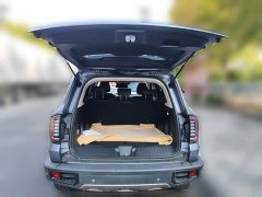 Great Wall Dachshund 1.5T DCT Two-Wheel Drive Labrador Edition - ფოტო 15