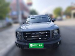 Great Wall Dachshund 1.5T DCT Two-Wheel Drive Labrador Edition - ფოტო 2