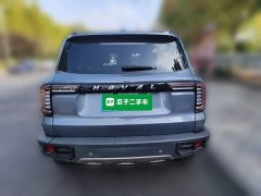 Great Wall Dachshund 1.5T DCT Two-Wheel Drive Labrador Edition - ფოტო 3