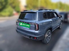 Great Wall Dachshund 1.5T DCT Two-Wheel Drive Labrador Edition - ფოტო 4